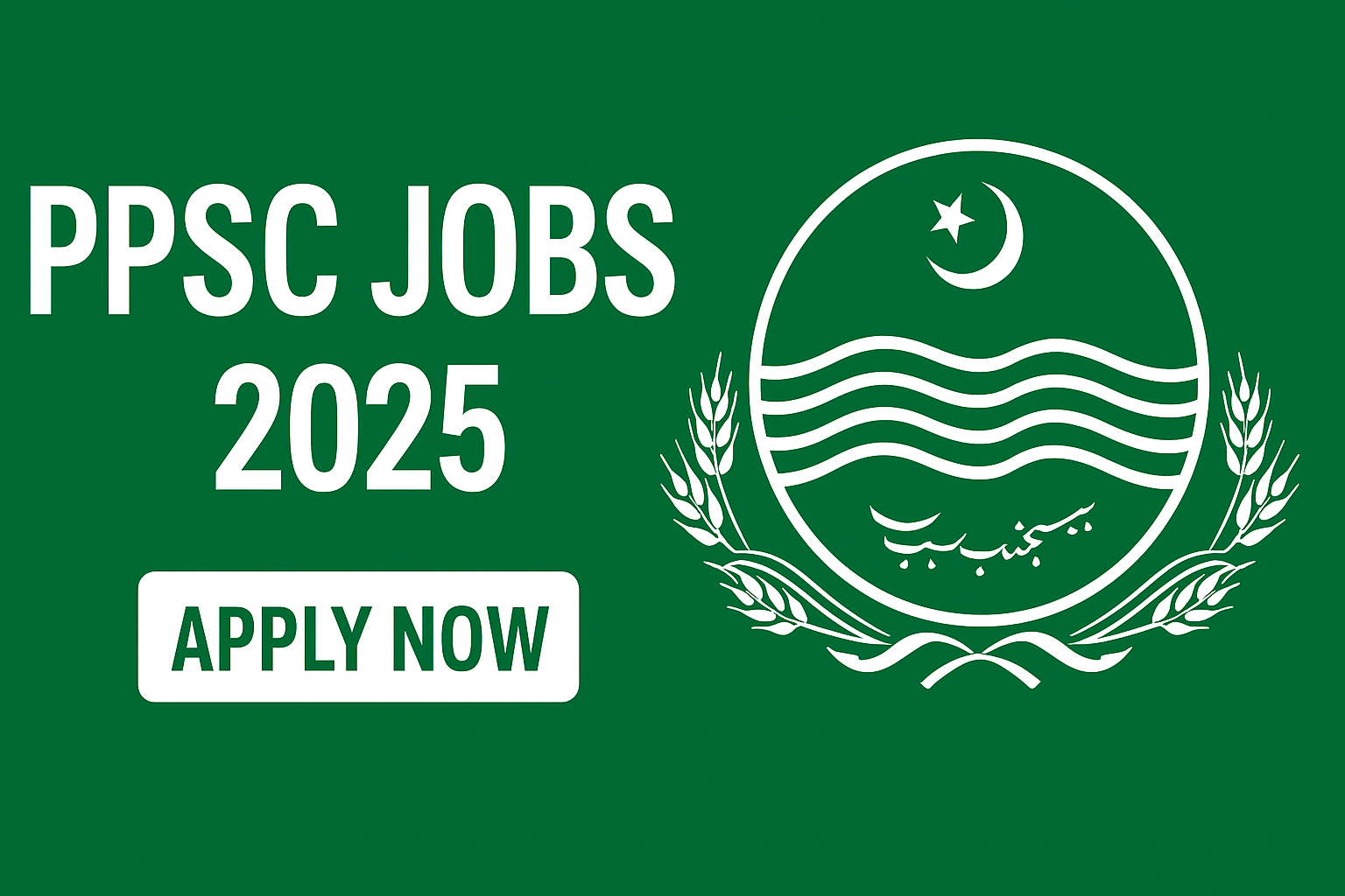 PPSC Jobs 2025